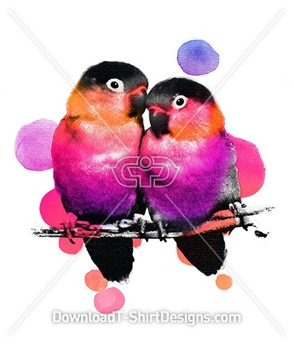 Colorful Tropical Love Birds