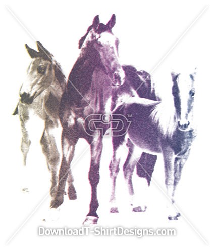 Pastel Horses Pony Animals