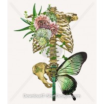 Organic Butterfly Cactus Flower Skeleton Collage